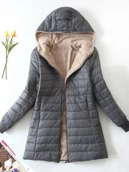 Laurent™ | Korean Jacket