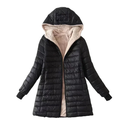 Laurent™ | Korean Jacket